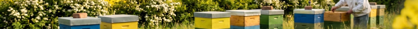 Mehrere Gläser Honig auf einem Holztisch im Vordergrund, dahinter bunte Bienenstöcke und ein arbeitender Imker vor einem ländlichen Fachwerkhaus.