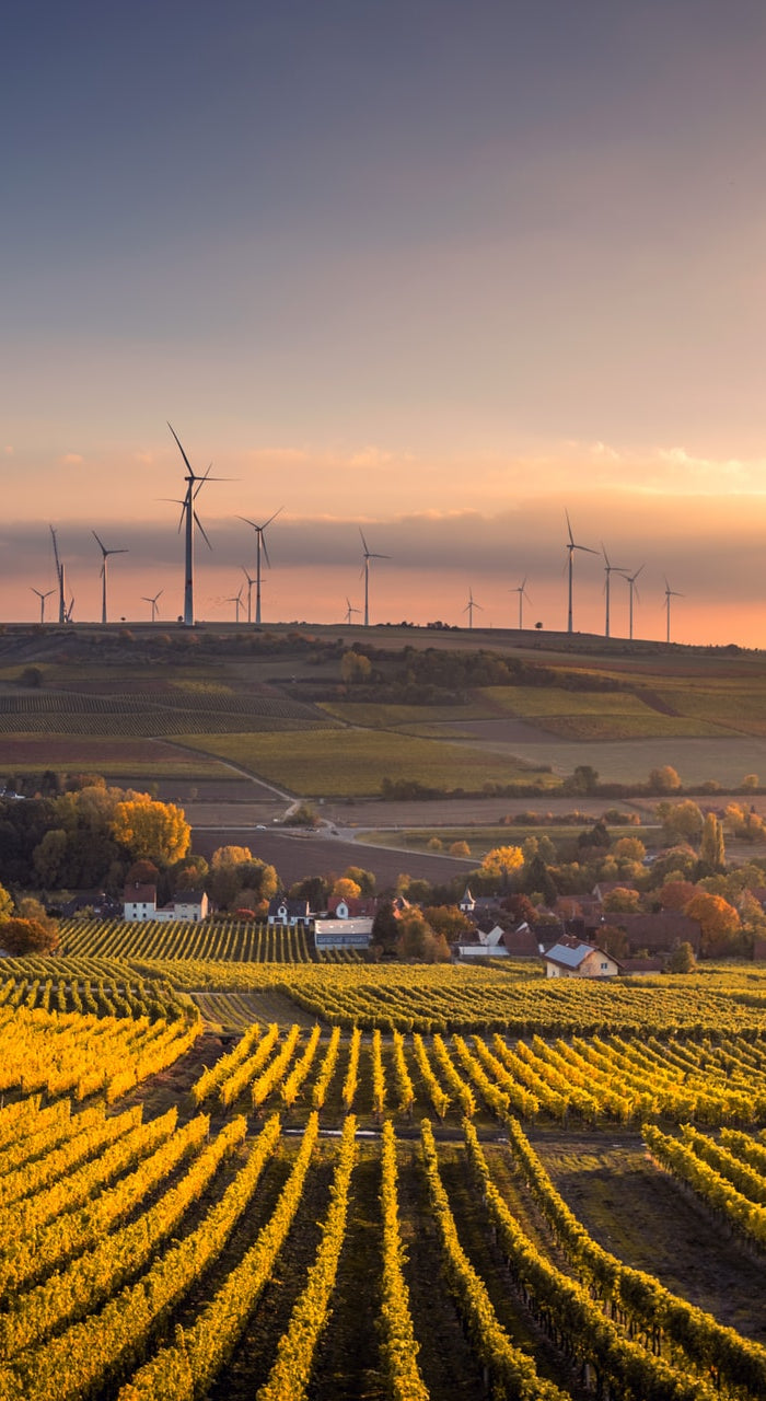 Weinberge und der Ausblick auf ein idyllisches Dorf mit Sonnenuntergang. 